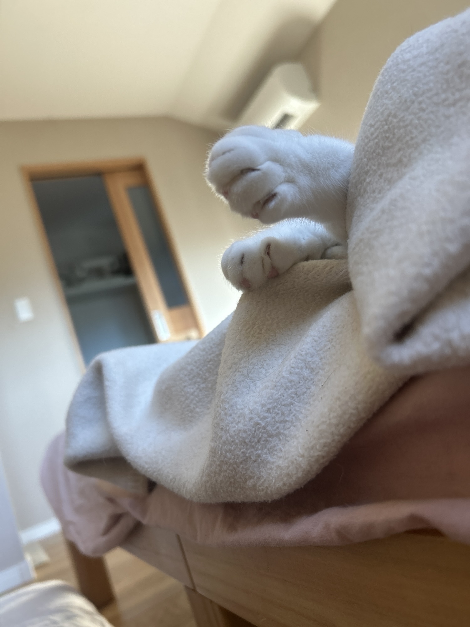 保護中: 2025.08.22.Fri