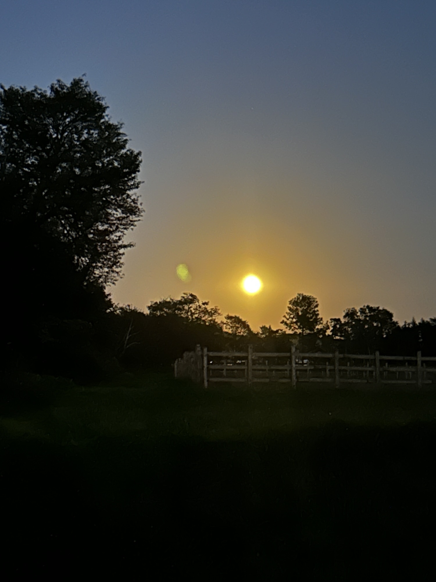 保護中: 2025.09.08.Mon