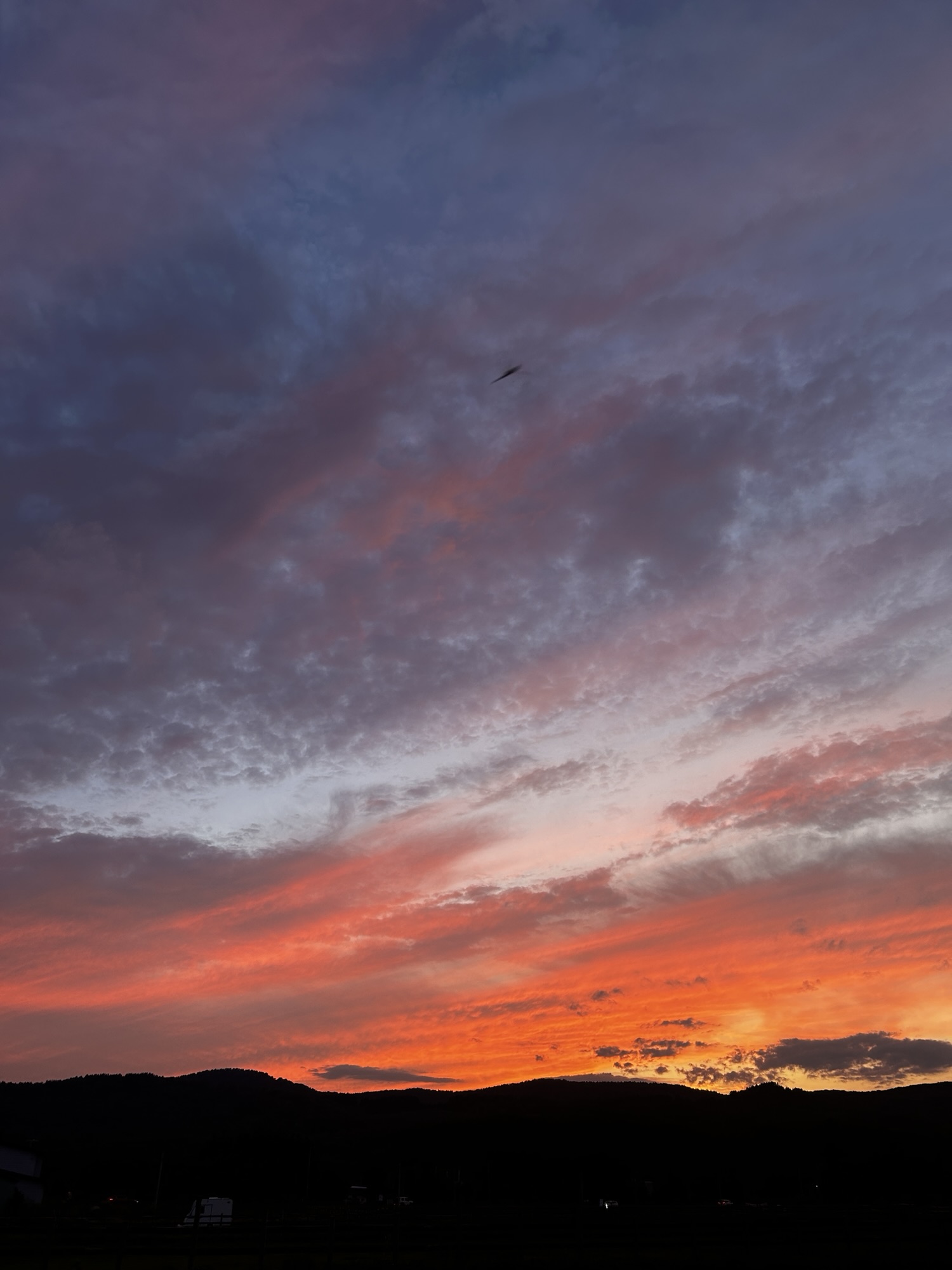 保護中: 2025.09.09.Tue