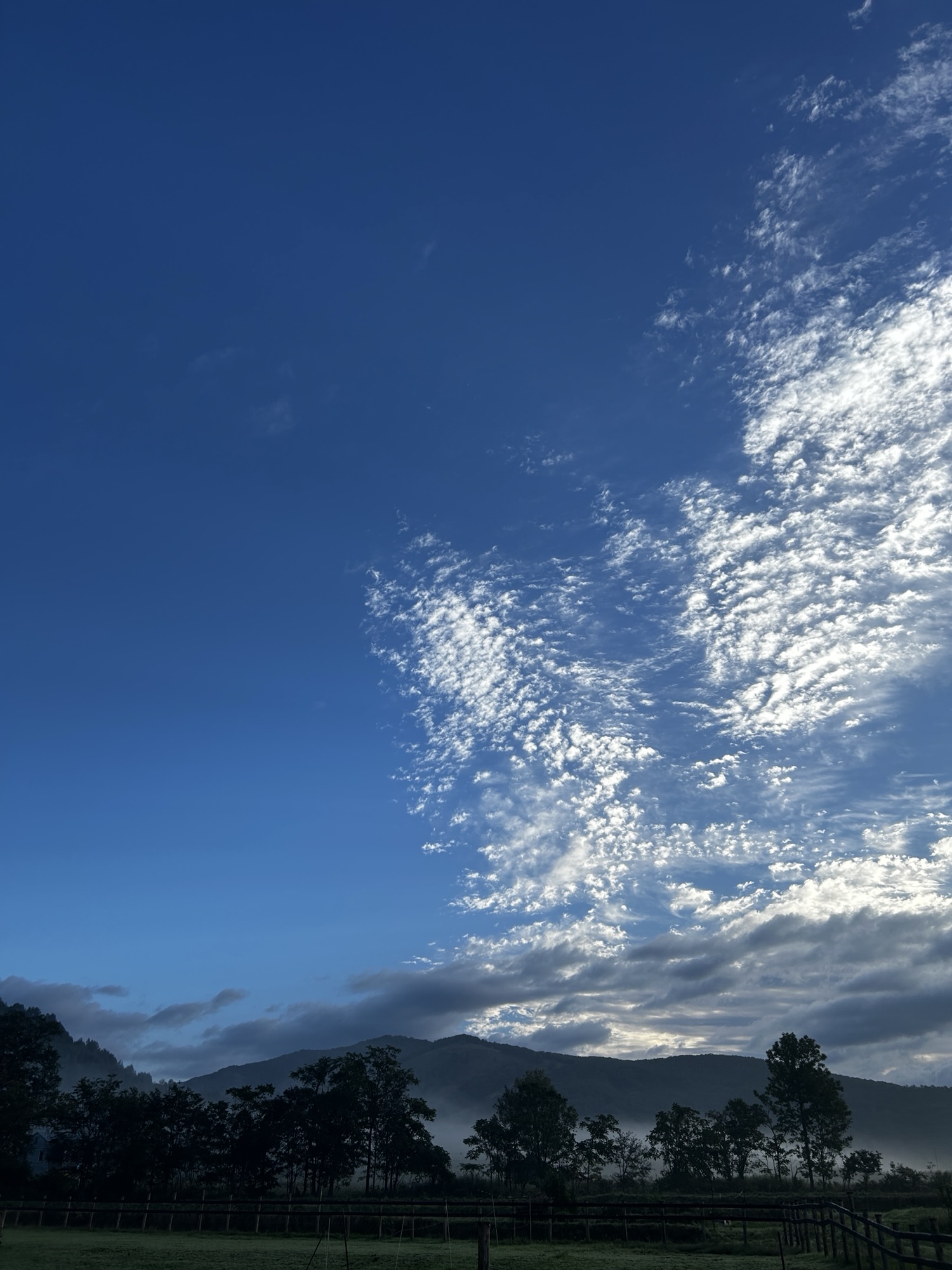 保護中: 2025.09.11.Thu