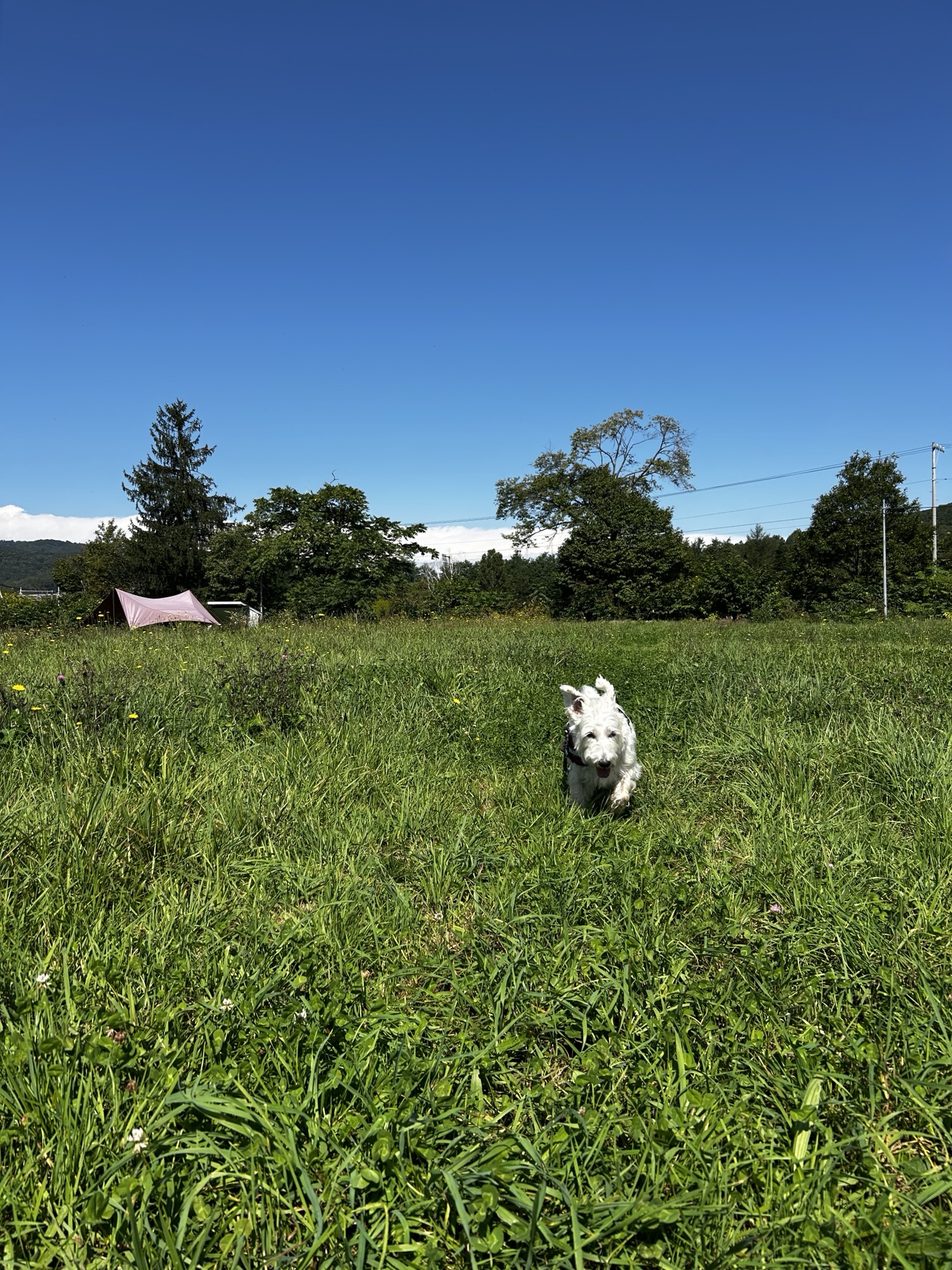 保護中: 2025.09.17.Wed